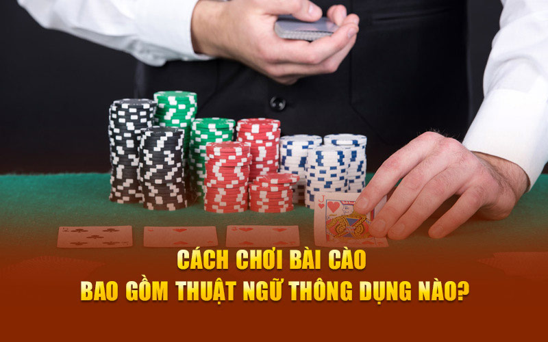 Cách chơi bài cào bao gồm thuật ngữ thông dụng nào